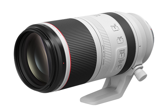 Canon RF 100-500mm f/4.5-7.1L IS USM Lens