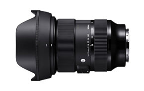 Sigma 24-70mm f/2.8 DG DN Art Lens for Sony E