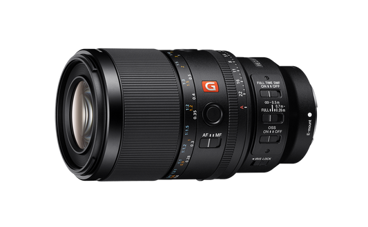 Sony FE 100mm f/2.8 Macro GM Lens