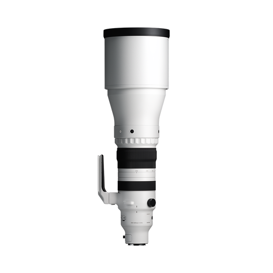 Sigma 300-600mm f/4 DG OS Sports Lens