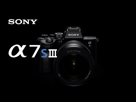 Sony Alpha a7S III – Pro Camera Hawaii